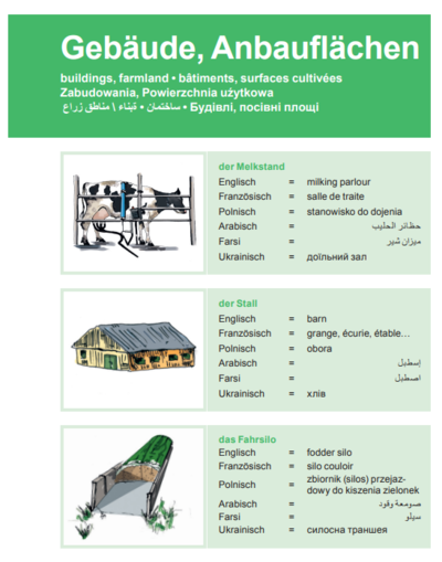 Mit Sprache Br&uuml;cken bauen