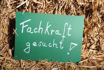 Umfrage Jobwechsel