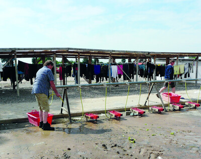 Im Sommer sind au&szlig;en liegende Reinigungsm&ouml;glichkeiten sowie &uuml;berdachte Trockenpl&auml;tze eine praktische L&ouml;sung.