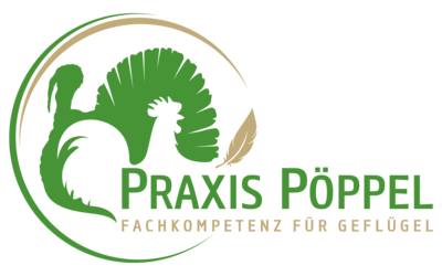 Praxis Pöppel GmbH,Praxis Pöppel GmbH Logo - © Praxis Pöppel GmbH,Praxis Pöppel GmbH Praxis Pöppel GmbH,Praxis Pöppel GmbH Logo