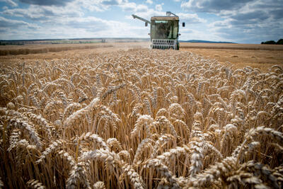 AJB Header Bild