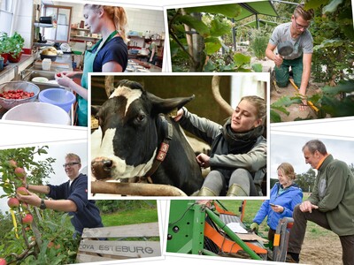 Collage von Menschen bei landwirtschaftlichen T&auml;tigkeiten: Obst pfl&uuml;cken, Gem&uuml;se ernten, Kuh streicheln und in einer K&uuml;che arbeiten.